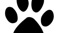 Cat Paw Prints SVG Cat Paw Prints SVG: The Ultimate Guide To Feline Footprints