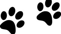 Cat Paw Track SVG Cat Paw Track SVG: A Comprehensive Guide To Creating And Using Feline-Inspired Designs