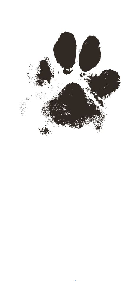 Dog Pawprints Dog Pawprints: A Unique And Enduring Legacy