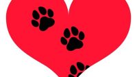 Heart With Paw Heart With Paw: A Bond Beyond Words