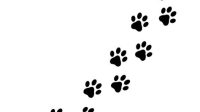 Cat Paw Prints Printable Cat Paw Prints: A Purrfect Way To Preserve Your Feline Friend's Memory