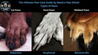 Heart Dog Paw Heart Dog Paw: The Ultimate Guide To Your Canine Companion's Health