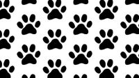 Paw Print Pattern Paw Print Patterns: A Guide To The Enchanting World Of Feline Footprints