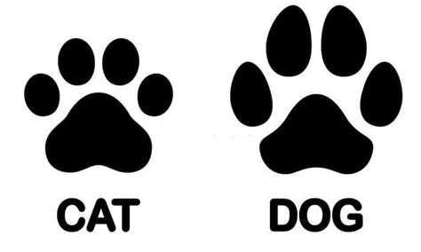 Cat Paw Vs Dog Paw Print Cat Paw Vs Dog Paw Print