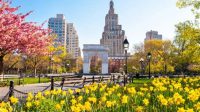 Popular Flowers In New York New York's Floral Tapestry: A Journey Through The City's Most Popular Blooms