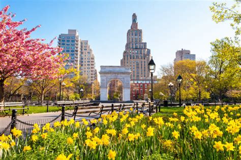 Popular Flowers In New York New York's Floral Tapestry: A Journey Through The City's Most Popular Blooms