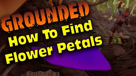 Where To Find Flower Petals In Grounded The Ultimate Guide To Finding Flower Petals In Grounded