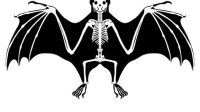 Bat Skeleton SVG Bat Skeleton SVG: A Comprehensive Guide To Its Intricate Structure