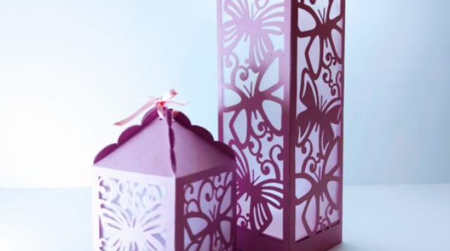 Butterfly Lantern and Box 3D SVG